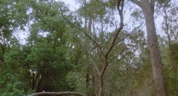 Screenshot 1 from Bloodmoon (Full Movie)