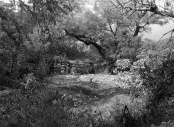 Screenshot 1 from Blowing Wild (Full Movie)