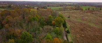 Screenshot 1 from Bluegrass Spirits (Full Movie)