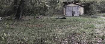 Screenshot 2 from Born Dead (Full Movie)