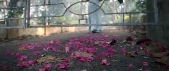 Screenshot 2 from Bougainvillea (Full Movie)