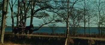 Screenshot 1 from Brave Red Flower of the North (Full Movie)