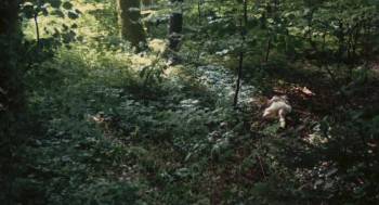 Screenshot 1 from Bread and Chocolate (Full Movie)