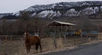 Screenshot 1 from Breakup Season (Full Movie)