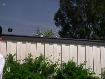 Screenshot 2 from Breast Men (Full Movie)