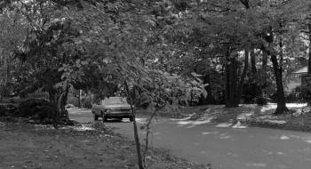 Screenshot 2 from Broadway Danny Rose (Full Movie)
