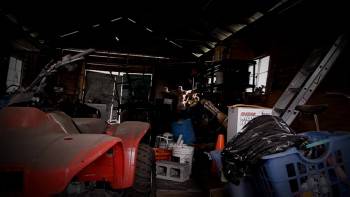 Screenshot 3 from Bubba the Redneck Werewolf (Full Movie)