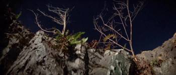 Screenshot 1 from Buddha's Palm (Full Movie)