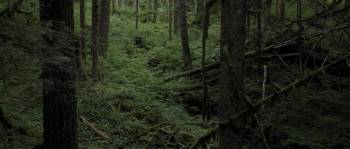 Screenshot 1 from Buddymoon (Full Movie)