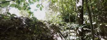 Screenshot 1 from Bunker of the Dead (Full Movie)