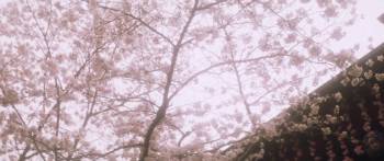 Screenshot 2 from Bushido (Full Movie)