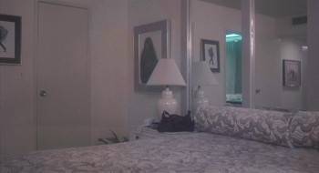 Screenshot 3 from Busting (Full Movie)