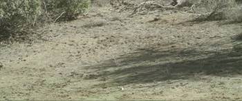 Screenshot 1 from Butch Cassidy and the Wild Bunch (Full Movie)