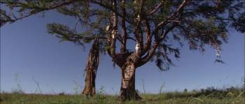 Screenshot 2 from By the Will of Chingis Khan (Full Movie)