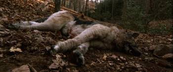 Screenshot 2 from Cabin Fever (Full Movie)