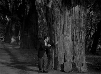 Screenshot 3 from Calabacitas tiernas (Full Movie)