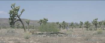 Screenshot 1 from Calypso (Full Movie)