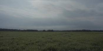 Screenshot 1 from Canadian, Sniper (Full Movie)
