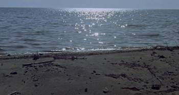 Screenshot 2 from Candy (Full Movie)