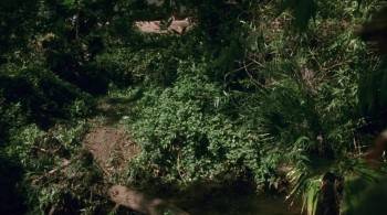 Screenshot 1 from Cannibal Women in the Avocado Jungle of Death (Full Movie)