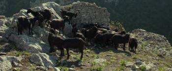 Screenshot 1 from Capri-Revolution (Full Movie)