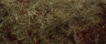 Screenshot 1 from Captain Volkonogov Escaped (Full Movie)