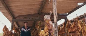 Screenshot 2 from Carbon (Full Movie)