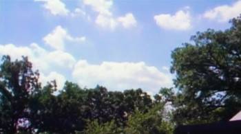 Screenshot 3 from Carnivore (Full Movie)