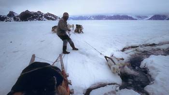 Screenshot 2 from Carsey-Wolf Center Frozen Obsession (Full Movie)