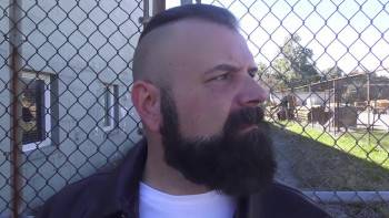 Screenshot 2 from Catnado (Full Movie)