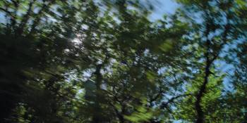 Screenshot 3 from Cellar Door (Full Movie)