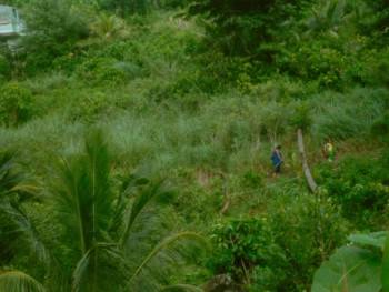 Screenshot 1 from Cette maison (Full Movie)