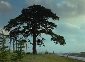 Screenshot 1 from Chambre 666 (Full Movie)