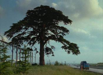 Screenshot 2 from Chambre 666 (Full Movie)