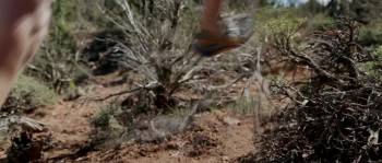 Screenshot 2 from Chasing Red (Full Movie)