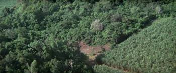 Screenshot 1 from Che! (Full Movie)