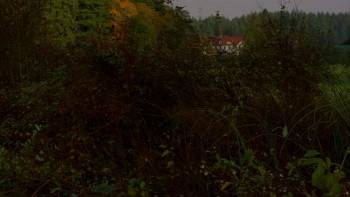 Screenshot 2 from Chestnut: Hero of Central Park (Full Movie)