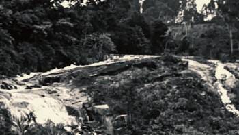 Screenshot 2 from Chico para Sempre (Full Movie)