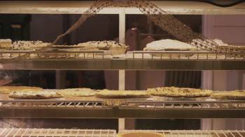 Screenshot 1 from Christmas at the Amish Bakery (Full Movie)
