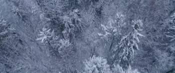 Screenshot 1 from Christmas Break-In (Full Movie)