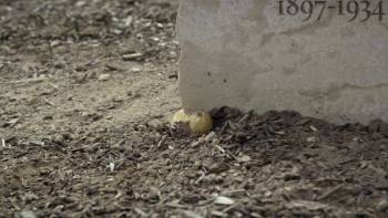 Screenshot 1 from Christmas for a Dollar (Full Movie)