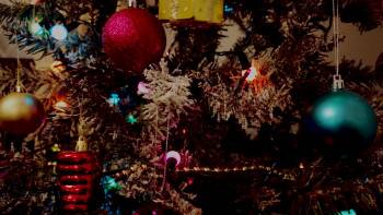 Screenshot 1 from Christmas with the Carters (Full Movie)