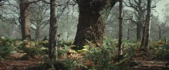 Screenshot 2 from Christopher Robin (Full Movie)