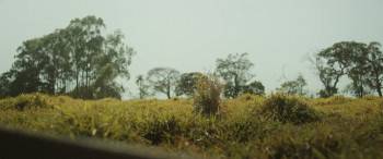 Screenshot 1 from Chuck Billy and the Marvelous Guava Tree (Full Movie)