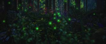 Screenshot 3 from Citizen of a Kind (Full Movie)