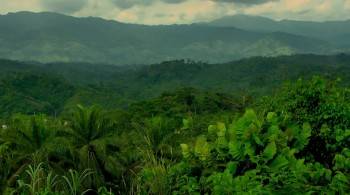Screenshot 1 from City of Joy (Full Movie)