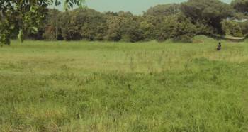 Screenshot 2 from City of Women (Full Movie)
