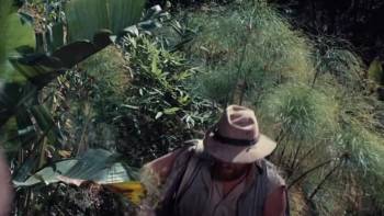 Screenshot 3 from Clarence, the Cross-Eyed Lion (Full Movie)