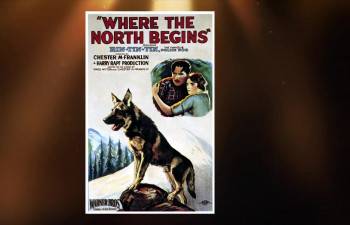 Screenshot 2 from Clash of the Wolves (Full Movie)