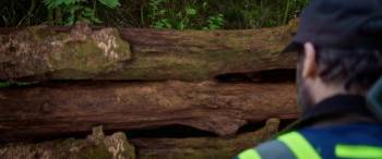 Screenshot 3 from Clear Cut (Full Movie)